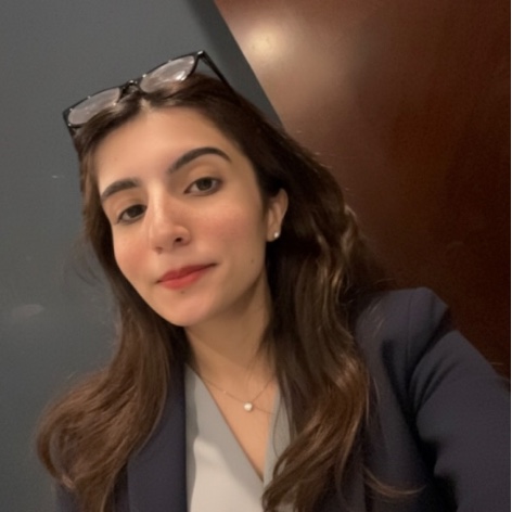 Hameeda Sara Ahmad